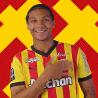 France Yes GIF by rclens