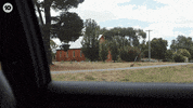 Huntedau GIF by Hunted Australia
