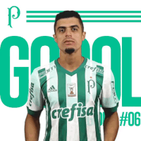 GIF by SE Palmeiras