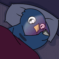 Stay Up No GIF by Ordinary Frends