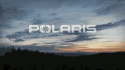 Polaris_RZR atv polaris utv side by side GIF