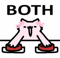 Excited Cat GIF by sillynub