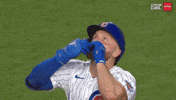 Happy Chicago Cubs GIF