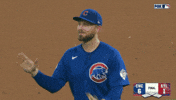 Happy Chicago Cubs GIF