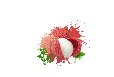 Vape Fruits Sticker by Skwezed