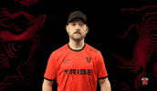 Love You Hearts GIF by Tribe Gaming