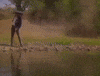 vicente fernandez mexico GIF