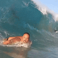 Dad Bodysurfing GIF by Respective