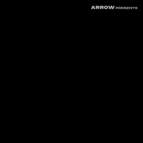 Texas Chainsaw Massacre Film GIF by Arrow Video