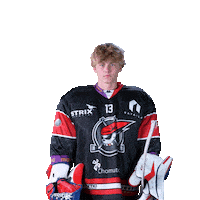 Hokej Goaltender Sticker by Piráti Chomutov