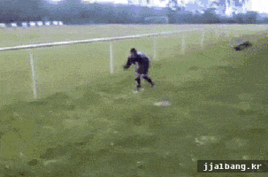 phelps GIF