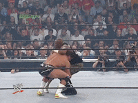 wwe sports wwe wrestling summerslam GIF