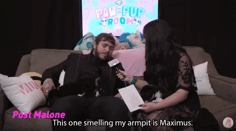 post malone dog GIF by Much