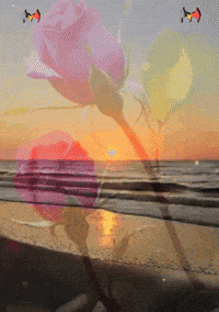 Mar Te Amo GIF by Murcianys LLC