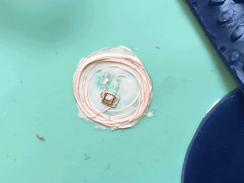 loesjebo giphyupload GIF