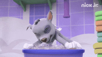 nickjr funny lol jump bath GIF