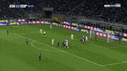 nainggolan GIF by nss sports