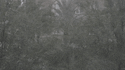Stay Safe Climate Change GIF by DIIMSA Stock