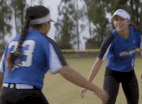 gcsports sports high five softball best friend GIF
