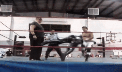 pro wrestling fighting GIF by Brimstone (The Grindhouse Radio, Hound Comics)