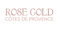 RoseGoldWine wine rose drinks dallas Sticker