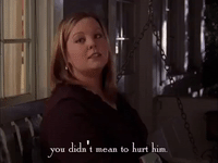 season 3 netflix GIF by Gilmore Girls 