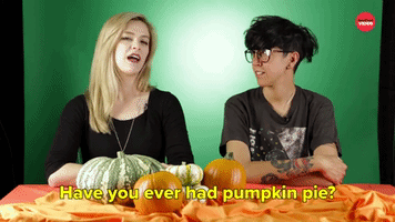 Have You Ever Had Pumpkin Pie?