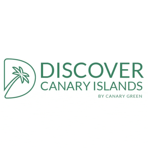 Travel Discover GIF by CanaryGreen