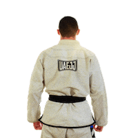 FederationJJ mma uae jiujitsu judo Sticker