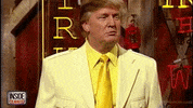 trump donald GIF