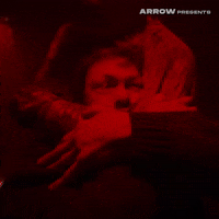 Film Horror GIF by Arrow Video