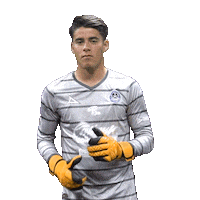 Baile Mazatlan Sticker by Mazatlán F.C.