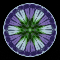 mandala art GIF by Moon Mandalas Mobile App