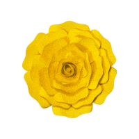 Party 花 Sticker by takanaga