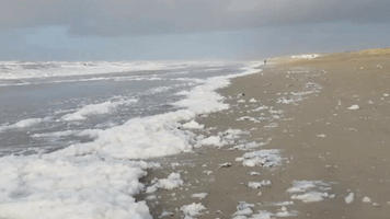 Strong Winds Send Sea Foam Flying Across Dutch Beach