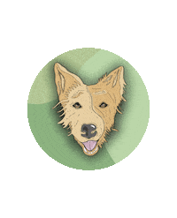 Dog Sticker by Anfibiosibiza