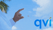 Qlstyle fun travel qvi qlifestyle GIF
