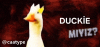 Duck GIF