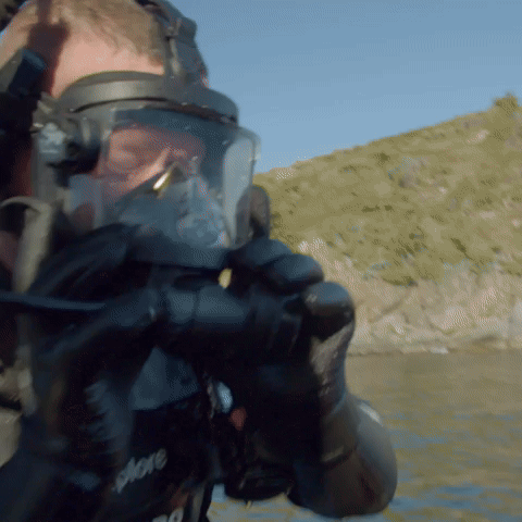 Diver Amazed at Speed of Great White Shark