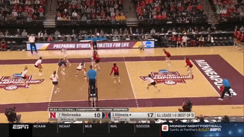 ncaasports ncaa volleyball illinois ncaavb GIF