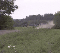 Off Road Exit GIF by FIA World Rally Championship