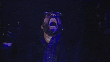 Dance Reaction GIF by Pure Noise Records