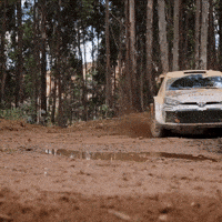 Drifting Toyota Yaris GIF by FIA World Rally Championship