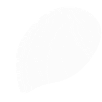 AgeSAHE final back to school eğitim okul Sticker