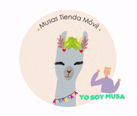 luciamendezddca  GIF
