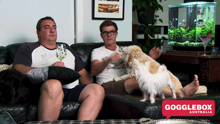 gogglebox australia dance GIF