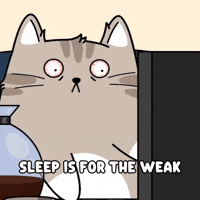 All Nighter Help GIF by MESA My Emotional Support Animal