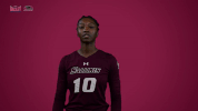 southern illinois mvc GIF by Missouri Valley Conference