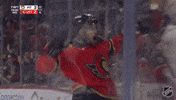 Happy Ottawa Senators GIF by NHL