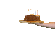 JarigeJob celebrate birthday cake bday Sticker